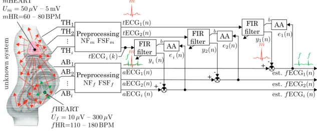 Figure 4. Theoretical multichannel adaptive system for f ECG extraction.