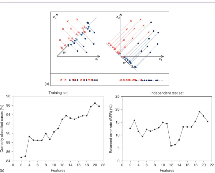 Figure 4. (a) Effect of choosing two different values for w for a 2-D example. Top: projection of samples onto two different lines