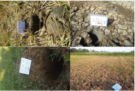 Figure 3. Four photos show soil samples taken at different land types. 