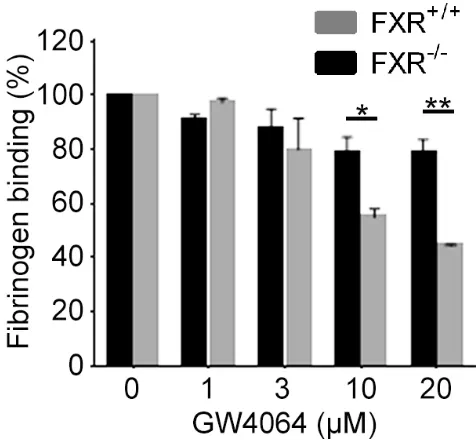 Figure 3 - The actions of GW4064 on platelets are mediated through FXR. Blood from 