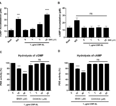 Figure 6 – GW4064 modulates platelet cyclic nucleotide signaling. The levels of cGMP (A) and cAMP (B) were measured in platelets on stimulation with CRP-XL (1 µg/mL) in the presence of GW4064 (1-10 µM) that was found to selectively increase cGMP levels