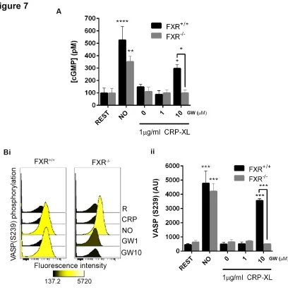 Figure 7 – Platelet FXR mediates cGMP signaling. Platelets derived from FXR+/+ and FXR-/-