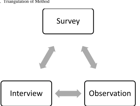 Figure 5.  Triangulation of Method 