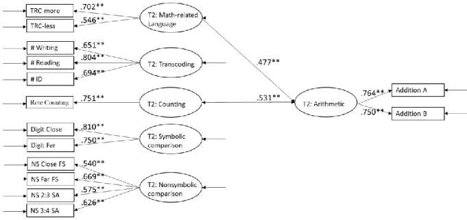 Figure 4.5. Concurrent associations of arithmetic assessed at Time 2. * p < .05. ** p < .01