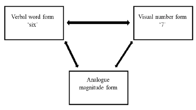 Figure 1.1 A simplified version of Dehaene’s Triple Code Model Processing (Dehaene &amp; 