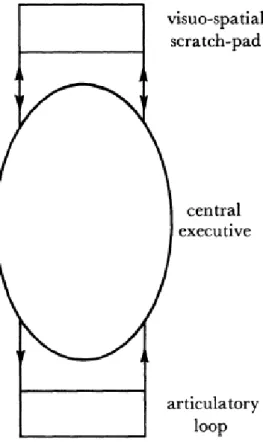 Figure  2.2  A  simplified  representation  of  the  working  memory  model  taken  from  Baddeley (1992)