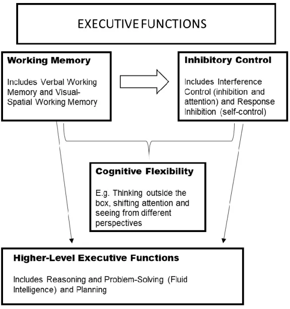 Figure 2.3 Simplified model adapted from (Diamond, 2013). Executive function and  related terms.
