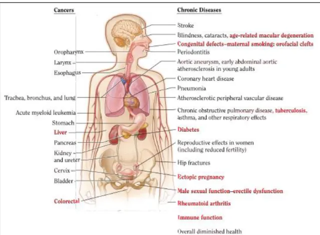 Figure 2.2: Adverse health effects causally associated with tobacco smoking 8 