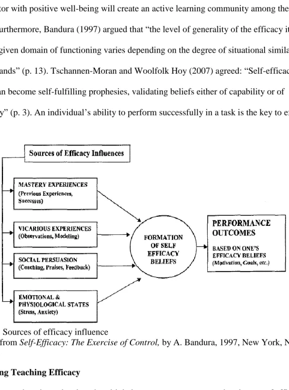 Figure 1. Sources of efficacy influence 
