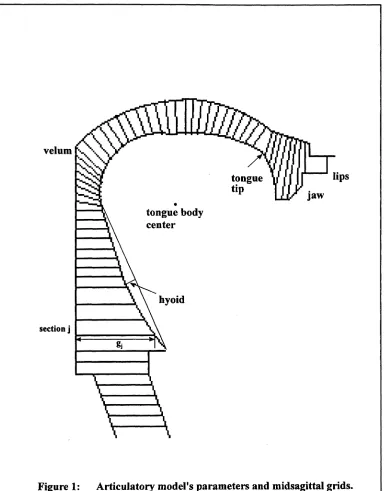 Figure 1: Articulatory model's parameters and midsagittal grids.