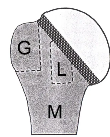 Figure 2a–f).