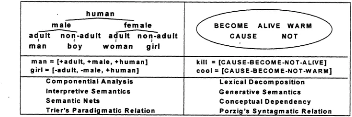 Figure 1. The representation of the meaning of words