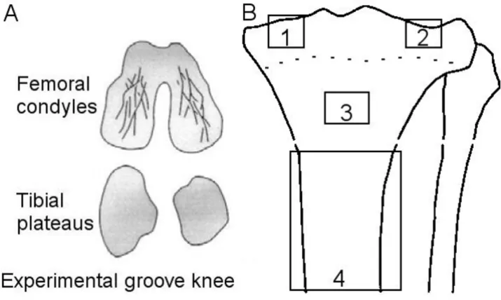 Figure 1Schematic clarification of methods usedSchematic clarification of methods used