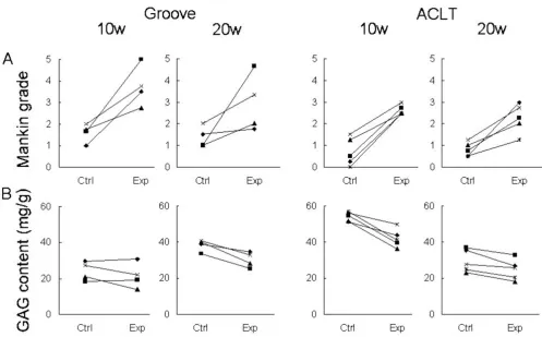 Table 1: Cartilage and bone parameters of the tibial epiphysis. Data are displayed as mean percentage difference (δdifference (for Mankin grade and SMI) of the experimental OA joint relative to the contralateral control joint, for the groove model ) or absolute and ACLT model, at 3, 10, and 20 weeks post-surgery.