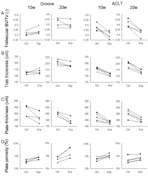Figure 4Bone parameters for individual animalsBone parameters for individual animals. Data are shown for the tibial epiphysis of the groove and ACLT model at 10 and 20 weeks post-surgery
