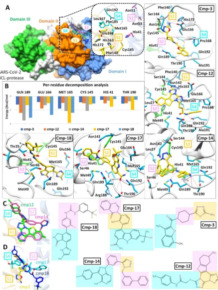 Figure 2: Post-Molecular dynamics (MD) analysis of SARS-CoV-2 Mpro hits. (A) Molecular surface representation of Mpro with MD simulated representative conformation of cmp3 (yellow), cmp12 (green), cmp14 (magenta), cmp17 (cyan) and cmp18 (dark blue) inside 