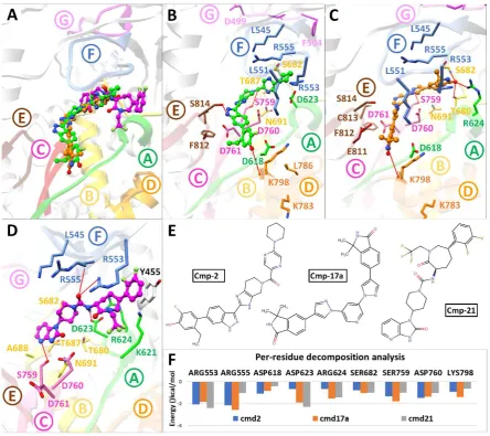Figure 3: Post-Molecular dynamics (MD) analysis of SARS-CoV-2 Nsp12 RdRp complexes. (A) MD simulated conformations of cmp2 (green), cmp17a (green), cmp21 (magenta) inside the predicted binding pocket of Nsp12 polymerase