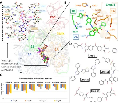 Figure 4: Post-Molecular dynamics (MD) analysis of SARS-CoV-2 Nsp13 helicase complexes