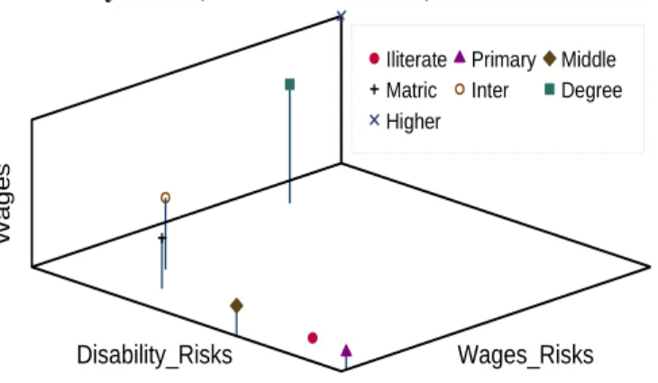 Table 6 presents the estimates for the last four components of  Y i , those related to  wages  risks  (including  the  two  components  of  wage  rate  risks  and  hours  worked  risks)  and disability risks