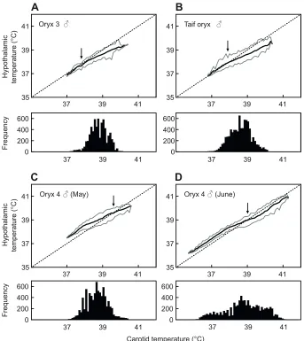 Table 2. Mean brain and carotid blood temperatures recorded every 5 min and the mean difference between carotid blood (Tand brain (carotid) Tbrain) temperatures, as well as the mean, maximum, frequency and threshold for selective brain cooling in three male and twofemale oryx