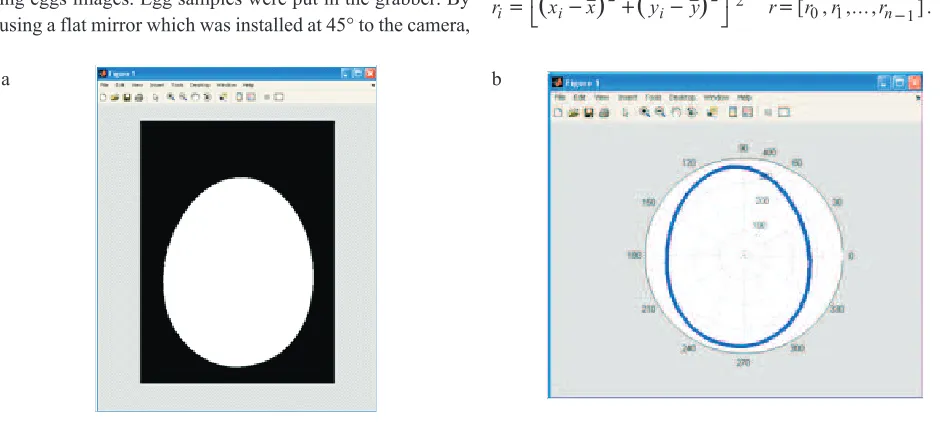 Fig.�1. Binary�image:�a�–�image�from�front�view�of�an�egg�after�segmentation,�b�–�edge�detection�from�extract�features.