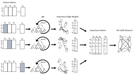 Figure 1. The diagram shows the process of iRF-LOOP for a set of Expression proﬁles, creating awith large enough weights are included in the ﬁnal network