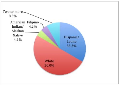 Figure 7. Student ethnicity background. 