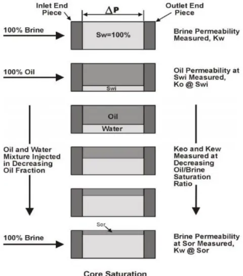 Figure 1: Steady state Waterflood Procedure (Adopted from Relative Permeability,  by Dr