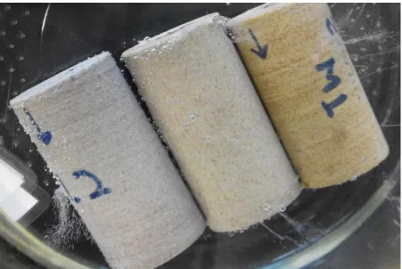 Figure 9: Three core plugs named as L2, M1 and M5 