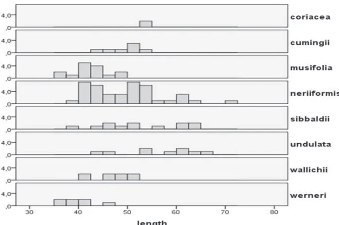 Figure 9. Distribution of spore lengths in Oleandra, arranged by specimen.