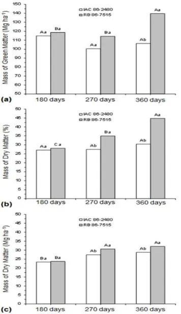 Figure 3. Productivity of green matter of shoot total plant cane (stem + leaves + pointers) (a), percentage of dry matter (b) and dry matter yield (c) at 180,  270 and 360 days after planting, to varieties IAC862480 and RB867515 (average of the two spacing
