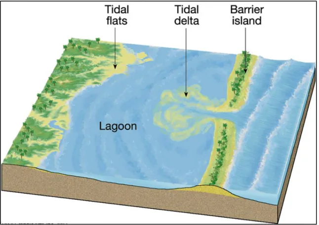 Figure 5. Sedimentary depositional environments. (Verlo and Hetland, 2008 ) 