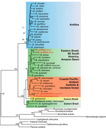 Figure 3. Maximum likelihood phylogram (GTR + Gamma) for a reduced dataset consisting of 41 ac-cessions of Brunfelsia and 8 outgroup genera and based on the analysis of combined plastid and nuclear sequences (3784 aligned nucleotides)