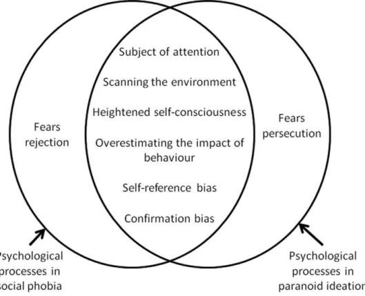 Figure 1. The overlap and differences of psychological processes in social phobia and paranoid ideation.