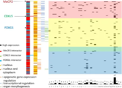 Figure 6. Tissue and organ expression analysis of human RTT-related proteins. The vertical and horizontal axes show RTT related proteins and 37 tissue types classified according to the Human Protein Atlas [37]