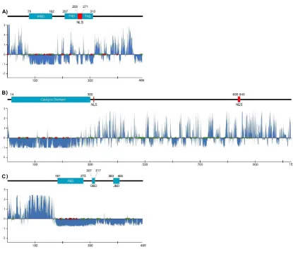 Figure 2. Rate of evolution per site in human RTT-related proteins. (a–c) Rates of amino acid substitution in MECP2 (A), CDKL5 (B), and FOXG1 (C) are shown as blue areas