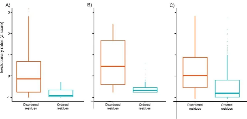Figure 3. Boxplots of evolutionary rates for predicted structural order–disorder residues of human RTT-causing proteins