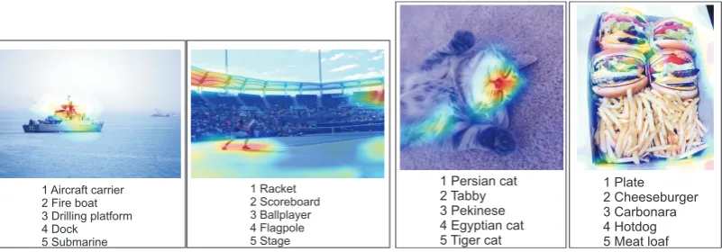 Figure 2: Visualizing heatmaps of class activation in an image.