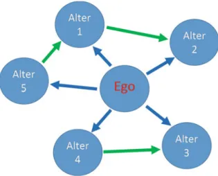 Fig. 3 Ego network