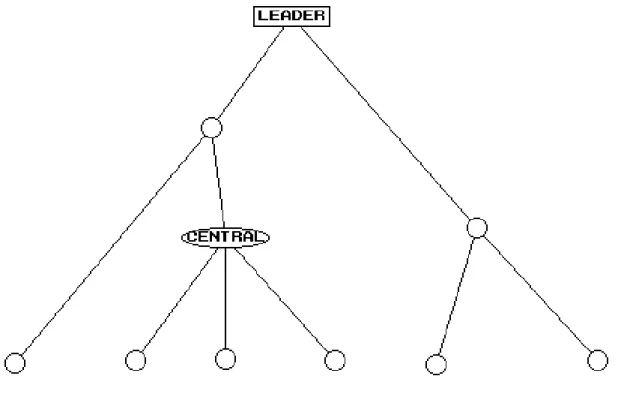 Figure 3a. Removal of an Emergent Leader in a Stylized Hierarchical Centralized Network – Initial Structure