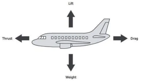 Figure 5. Original forces of flight DLO (Science Learning Hub, The University of  Waikato