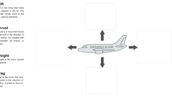 Figure 7. Visual variant of the forces of flight DLO. Instructional messages are shown  on the left