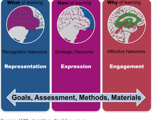Figure 2. Overview of UDL adapted from udlguidelines.cast.org 