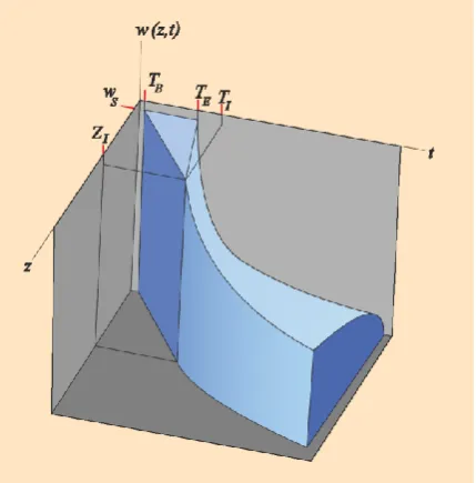 Figure 2:  Schematic representation of a water-content wave WCW, where the w(z,t)-axis  