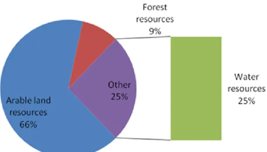 Figure 4.3: The Resources that are Severed affected by the ASM  Source: Field Survey 