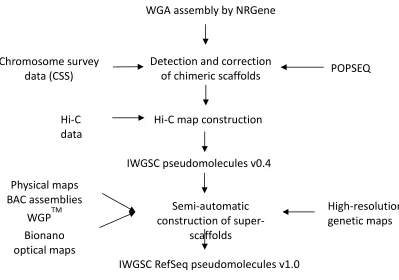 Fig. S1 Data integration pipeline for the assembly of IWGSC RefSeq v1.0. The whole genome assembly 