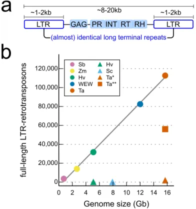 Fig. S3 Number of full length LTR-retrotransposons in different genome assemblies