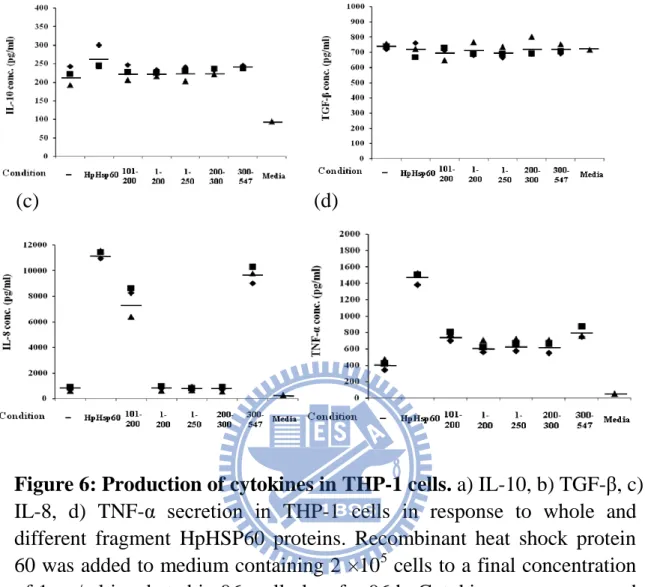 Figure 6: Production of cytokines in THP-1 cells. a) IL-10, b) TGF-β, c)  IL-8,  d)  TNF-α  secretion  in  THP-1  cells  in  response  to  whole  and  different  fragment  HpHSP60  proteins