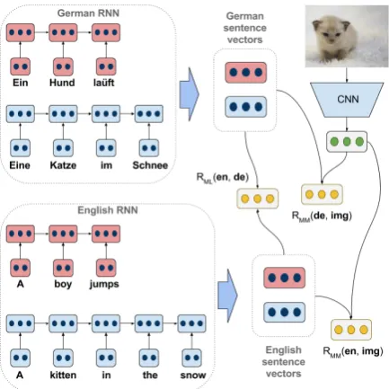 Figure 1: Multilingual multi-modal embeddingtrained with images and their English and Germandescriptions.The sentences in red denote con-trastive examples, whereas the sentences in blueare descriptive of the image.