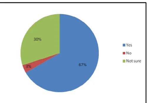 Figure 4: Children’s views on their right to freedom of expression   N = 30 